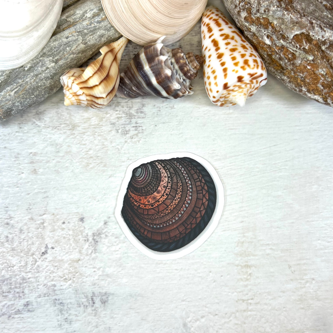 Sticker - Buttercup Lucine Seashell - Orange - Clear background - 2 x 2"