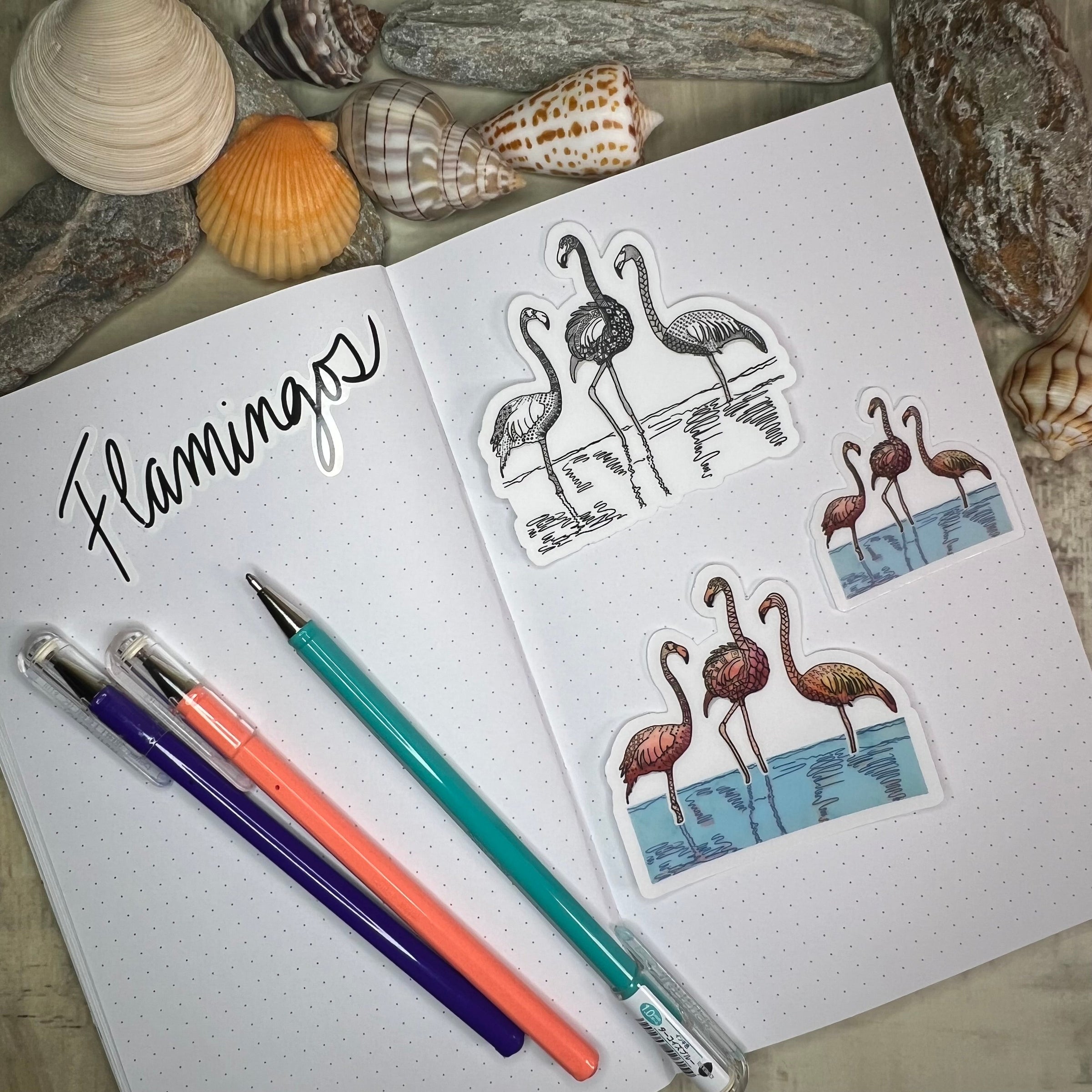 Flamingos