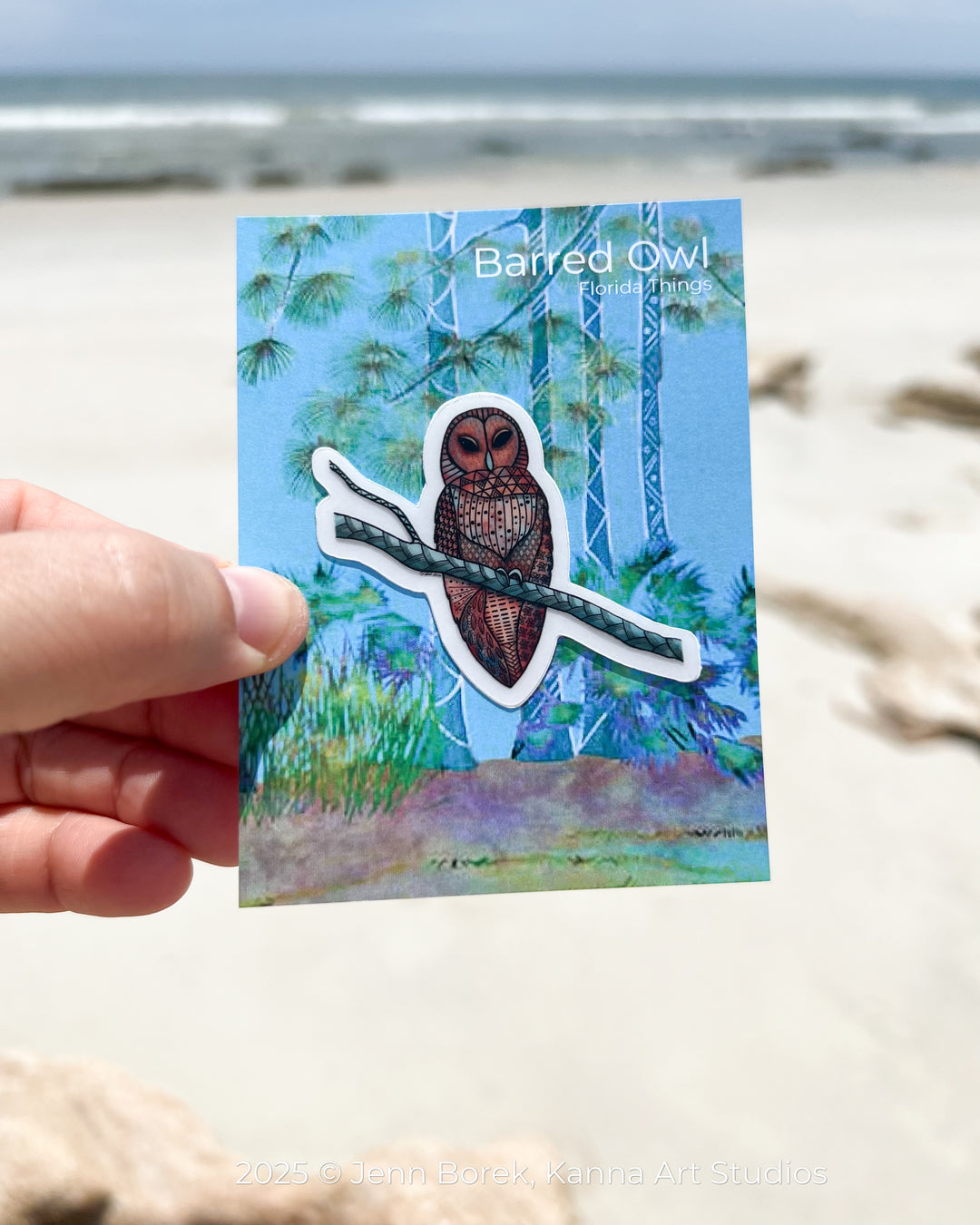 Barred Owl | Stickers 2" or 3" | Barred Owl Vinyl Sticker | Clear, Barred Owl Decal for Laptop, Water Bottle, Journal, Gift for Ocean Lovers