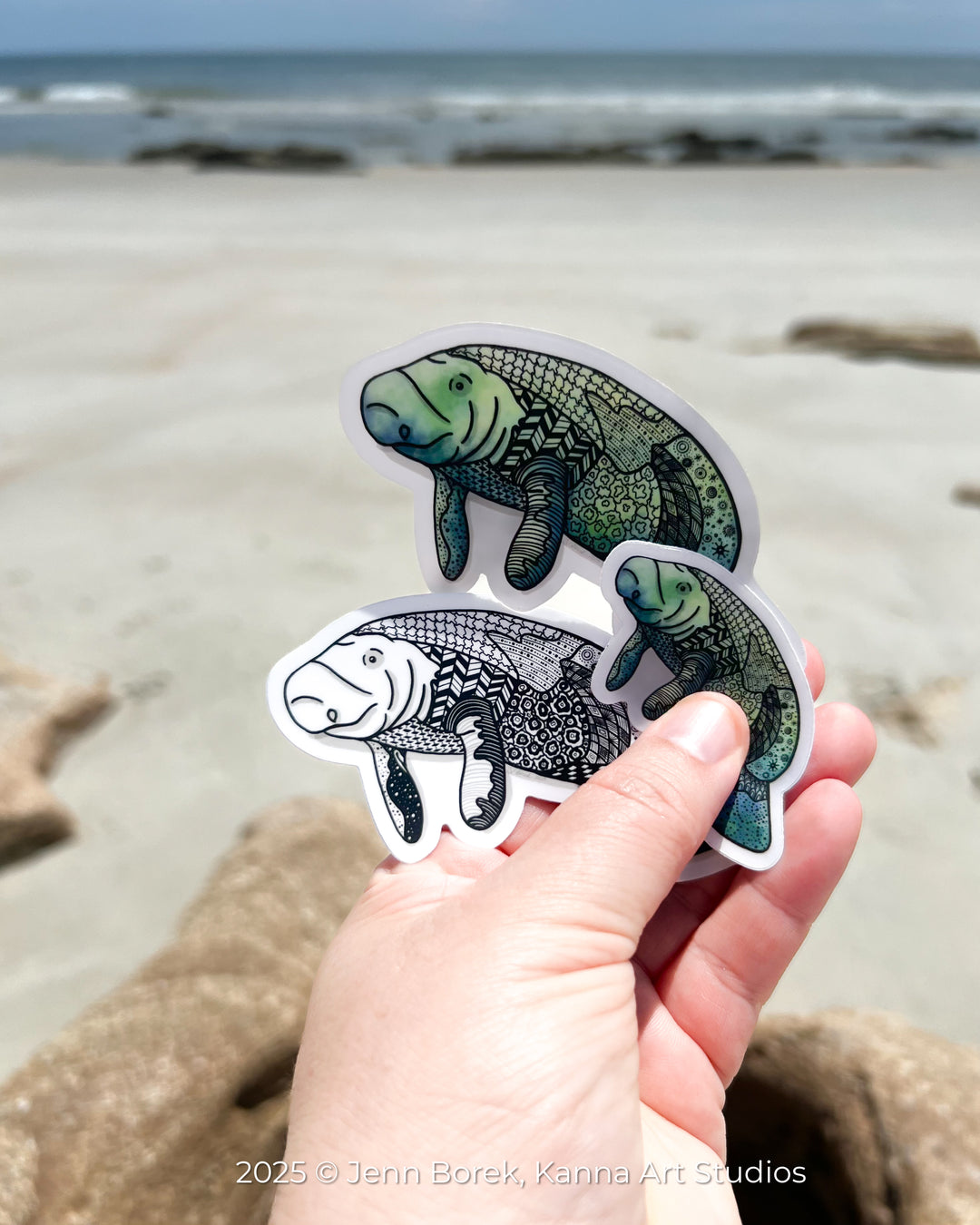 Manatee Stickers 2" or 3" | Cute Ocean Manatee Vinyl Sticker | Clear, Greeb, Waterproof Manatee Decal for Laptop, Water Bottle, Journal, Gift for Ocean Lovers