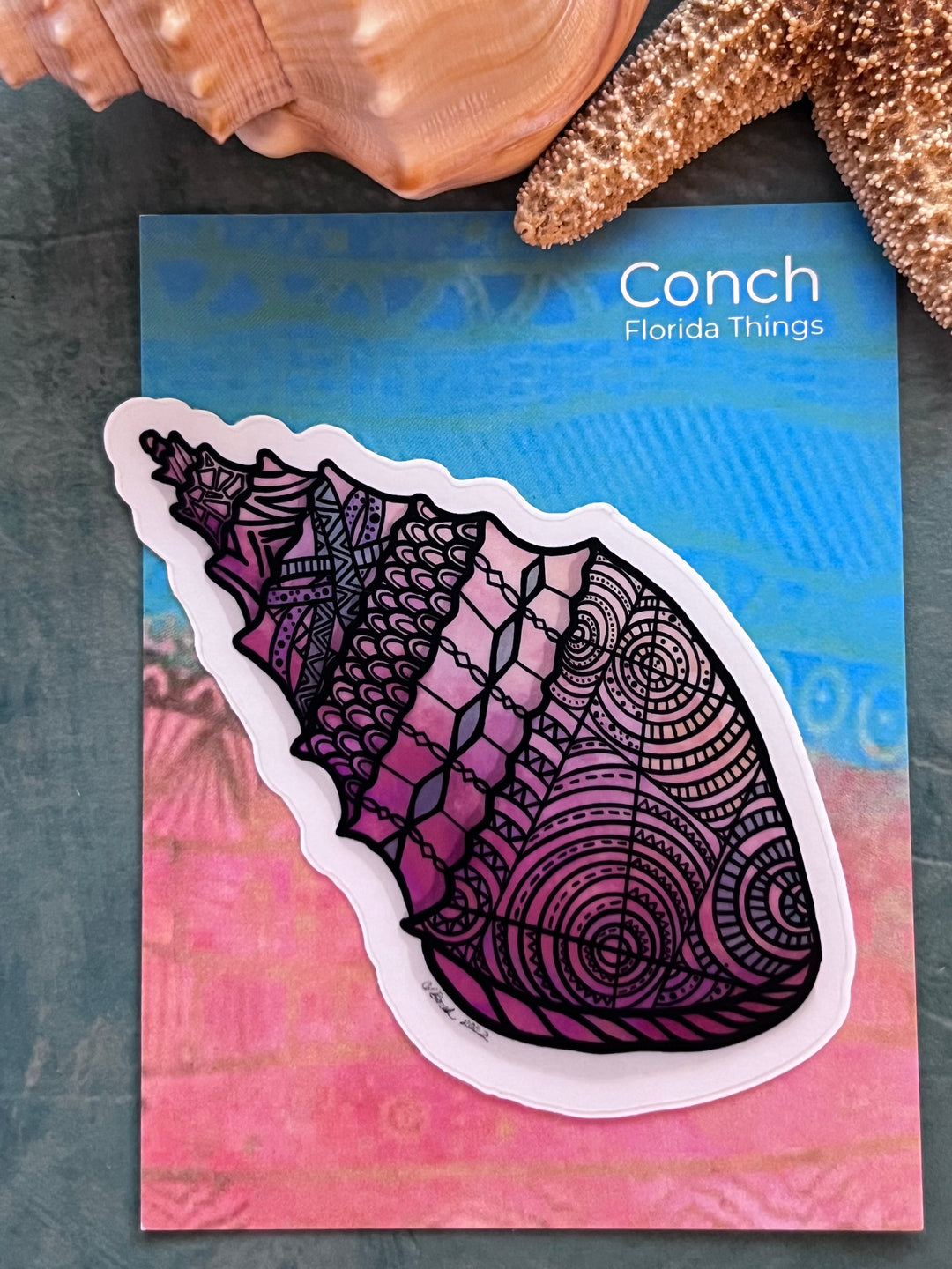 Conch | Stickers 2" or 3" | Conch Vinyl Sticker | Clear, Conch Decal for Laptop, Water Bottle, Journal, Gift for Ocean Lovers