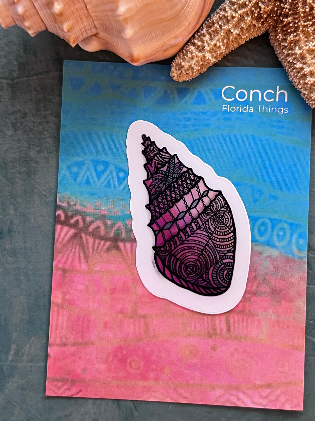 Conch | Stickers 2" or 3" | Conch Vinyl Sticker | Clear, Conch Decal for Laptop, Water Bottle, Journal, Gift for Ocean Lovers