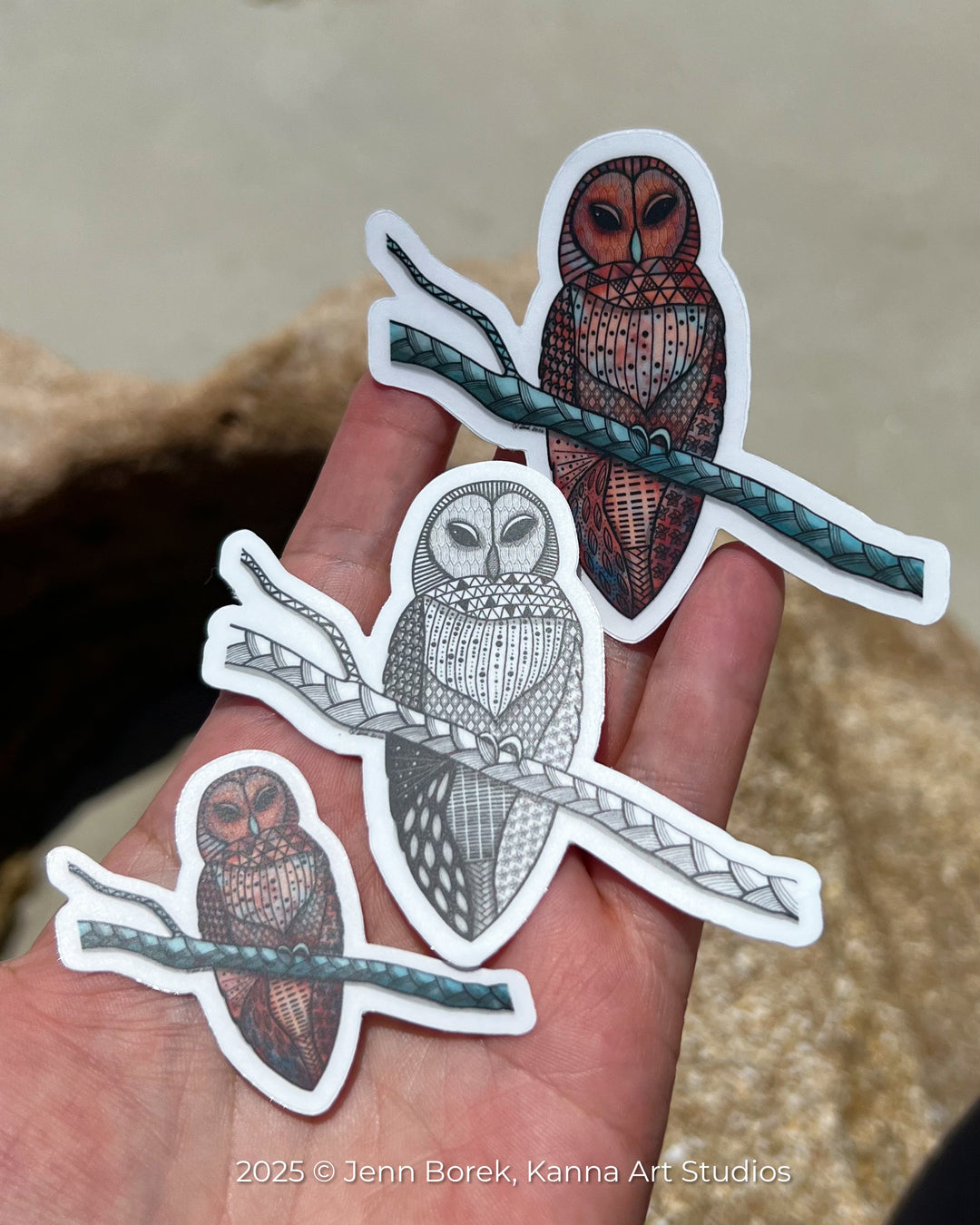 Barred Owl | Stickers 2" or 3" | Barred Owl Vinyl Sticker | Clear, Barred Owl Decal for Laptop, Water Bottle, Journal, Gift for Ocean Lovers