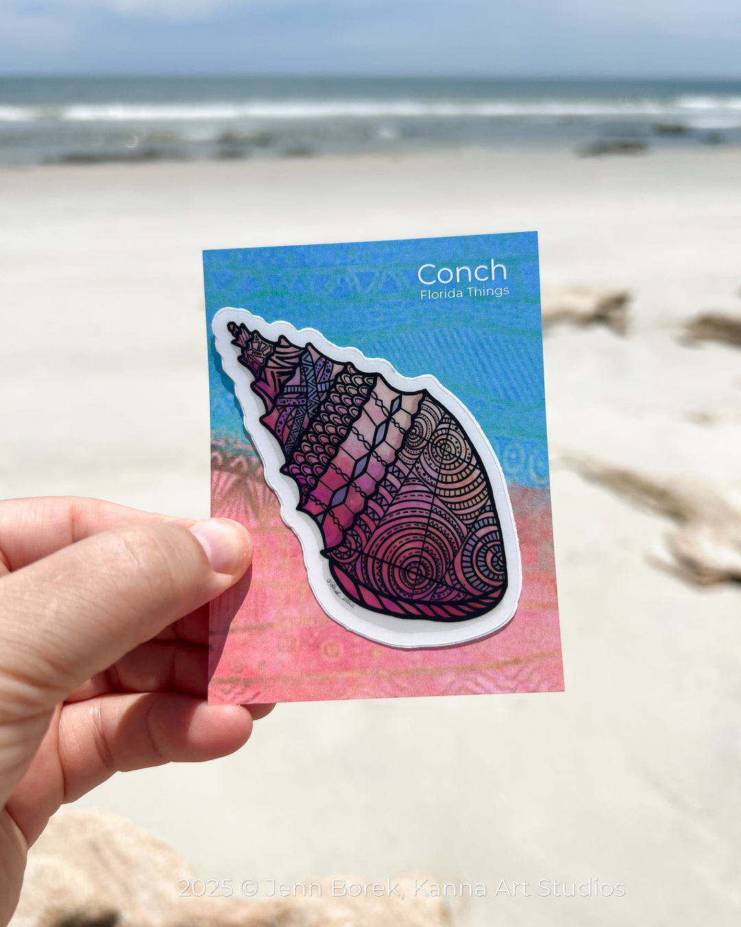 Conch | Stickers 2" or 3" | Conch Vinyl Sticker | Clear, Conch Decal for Laptop, Water Bottle, Journal, Gift for Ocean Lovers