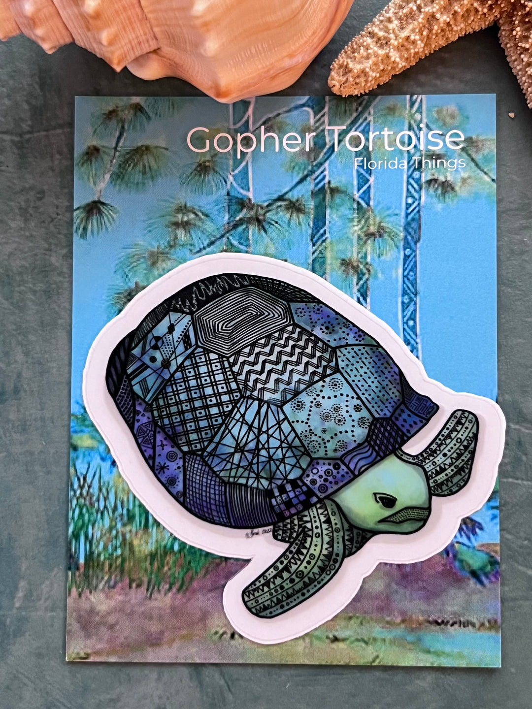 Gopher Tortoise | Stickers 2" or 3" | Gopher Tortoise Vinyl Sticker | Clear, Gopher Tortoise Decal for Laptop, Water Bottle, Journal, Gift for Ocean Lovers