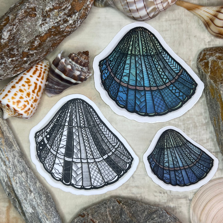 Sticker - Cockleshell - Blue, Green - Clear Background - 3" or 2"