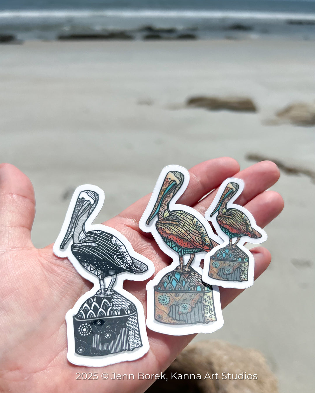 Pelican Key West Stickers 2" or 3" | Pelican Key West Vinyl Sticker | Clear, Waterproof Pelican Key West Decal for Laptop, Water Bottle, Journal, Gift for Ocean Lovers