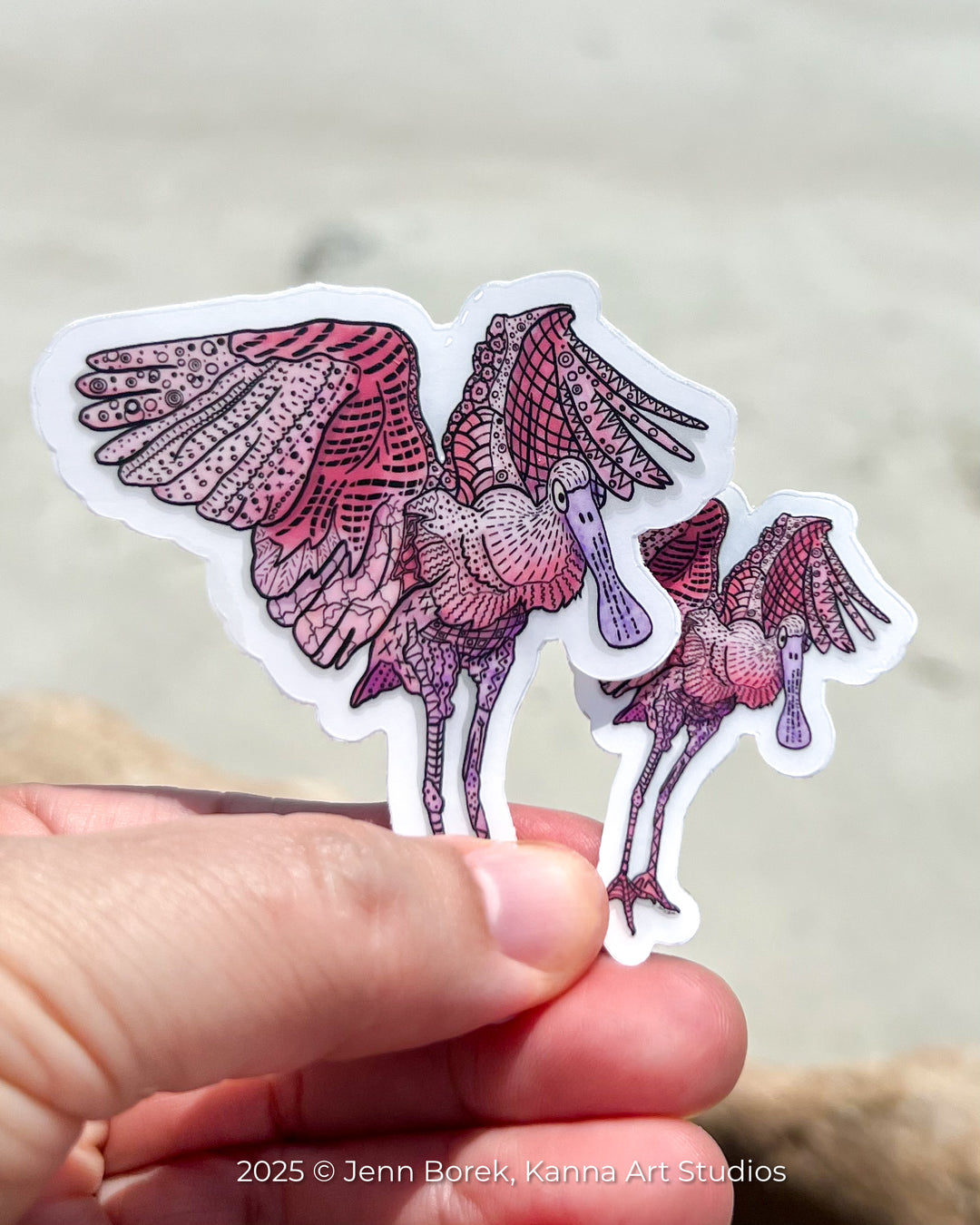 Spoonbill Flapping | Stickers 2" or 3" | Spoonbill Vinyl Sticker | Clear, Blue, Waterproof Spoonbill Decal for Laptop, Water Bottle, Journal, Gift for Ocean Lovers