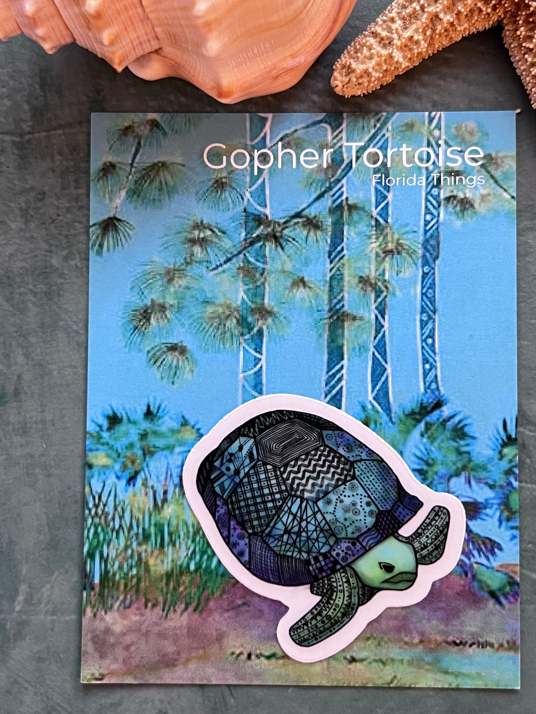Gopher Tortoise | Stickers 2" or 3" | Gopher Tortoise Vinyl Sticker | Clear, Gopher Tortoise Decal for Laptop, Water Bottle, Journal, Gift for Ocean Lovers
