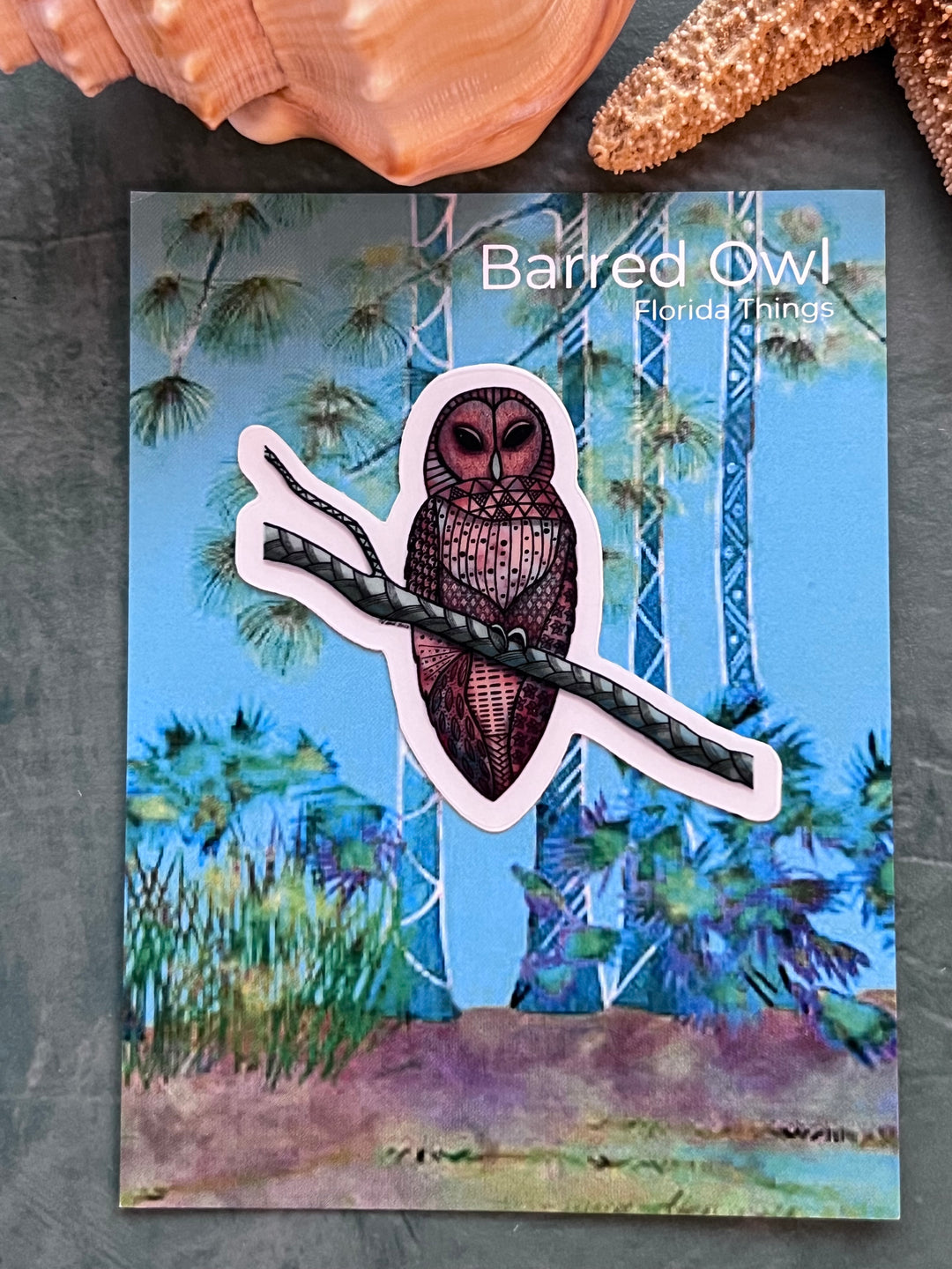 Barred Owl | Stickers 2" or 3" | Barred Owl Vinyl Sticker | Clear, Barred Owl Decal for Laptop, Water Bottle, Journal, Gift for Ocean Lovers