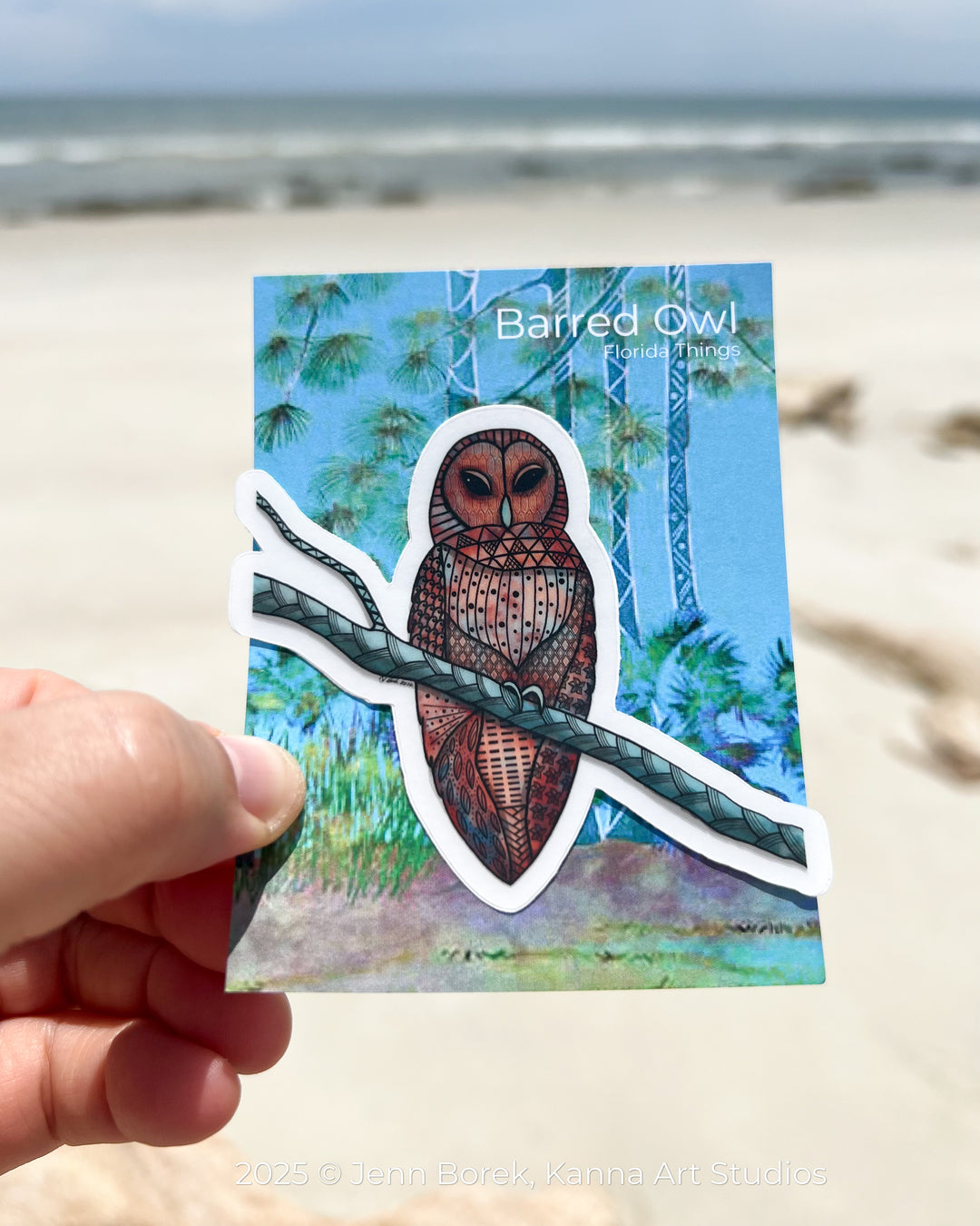Barred Owl | Stickers 2" or 3" | Barred Owl Vinyl Sticker | Clear, Barred Owl Decal for Laptop, Water Bottle, Journal, Gift for Ocean Lovers