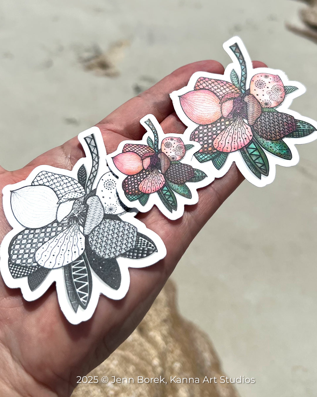 Magnolia 1 | Stickers 2" or 3" | Cute Magnolia 1 Vinyl Sticker | Clear, Magnolia 1 Decal for Laptop, Water Bottle, Journal, Gift for Ocean Lovers