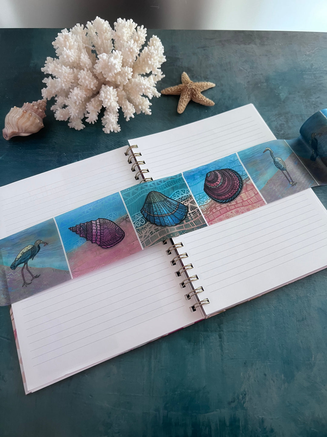 Washi Tape | Seashore | 3 Inches x 33 Feet | Snowy Egrets & Seashells | Nature Journaling Tape | Florida Wildlife